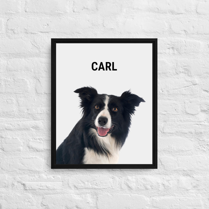 Personalized Border Collie Framed Canvas Print