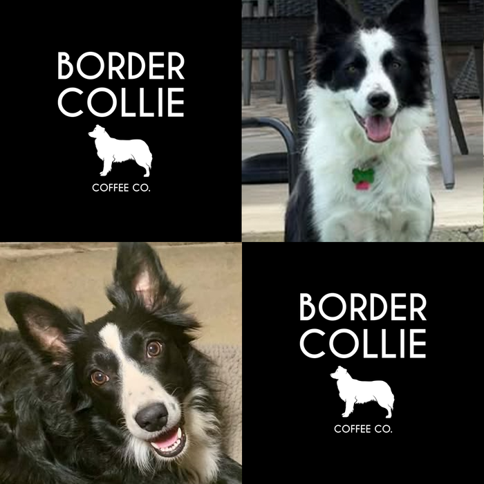 Meet Our Dogs of the Month — September 2026